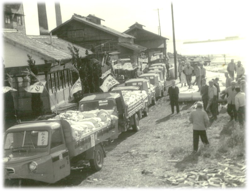 1950年頃：初出荷風景